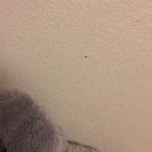 Meet your Posher, Camila